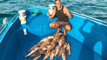 Fishing Trips in Red Sea